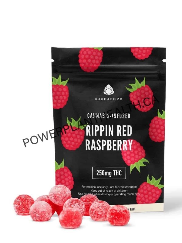 Buudabomb 250mg Vegan THC Gummy Rippin Red Raspberry - Power Plant Health