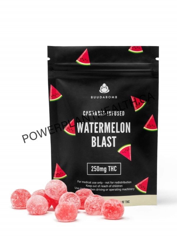 Buudabomb 250mg Vegan THC Gummy Watermelon Blast - Power Plant Health