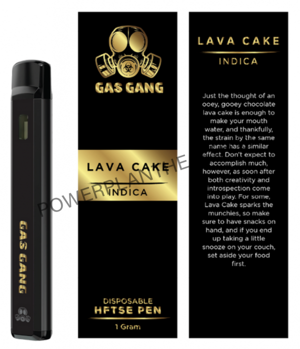 Gas Gang Disposable HFTSE Pen Lava Cake Indica - Power Plant Health