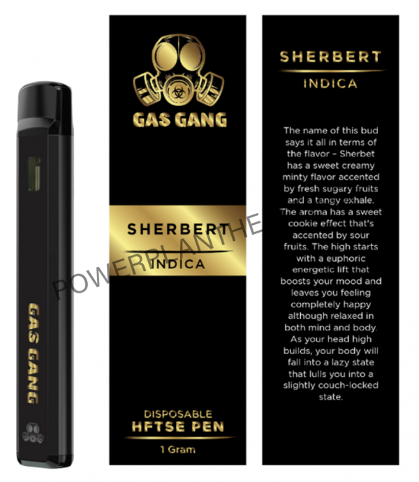 Gas Gang Disposable HFTSE Pen Sherbert Indica - Power Plant Health