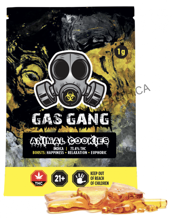 Gas Gang Shatter Animal Cookies Indica - Power Plant Health