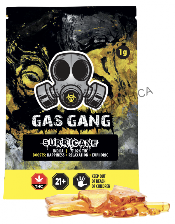 Gas Gang Shatter Surricane Indica - Power Plant Health