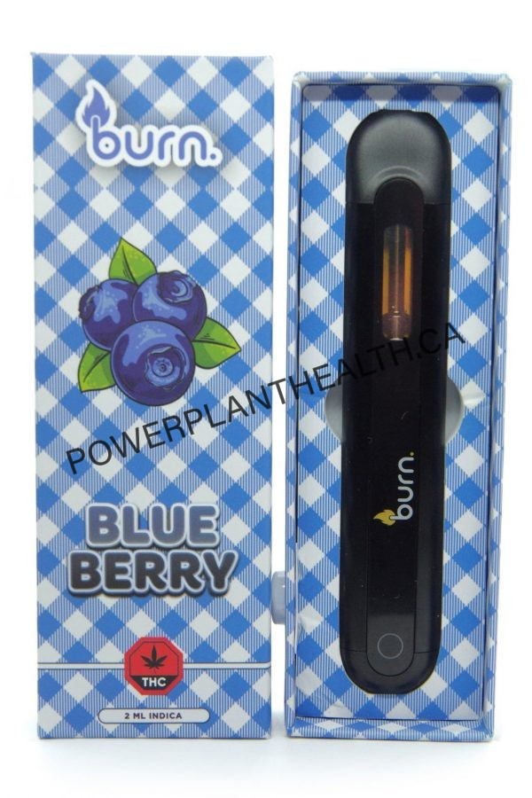 Burn 2ml Disposable Vape Blueberry Indica - Power Plant Health