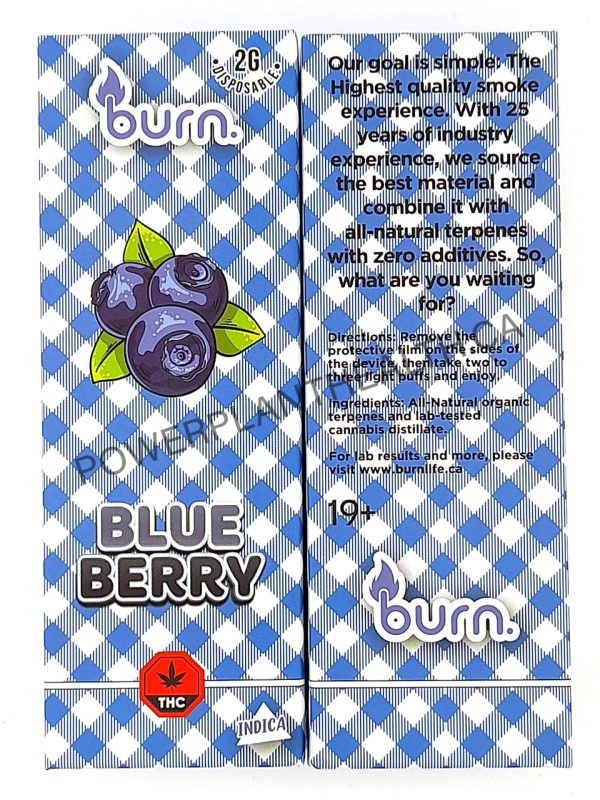 Burn. 2g Vape Blueberry Indica - Power Plant Health