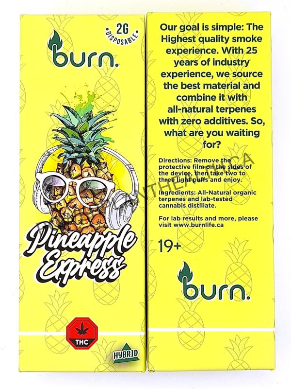 Burn. 2g Vape Pineapple Express Hybrid - Power Plant Health