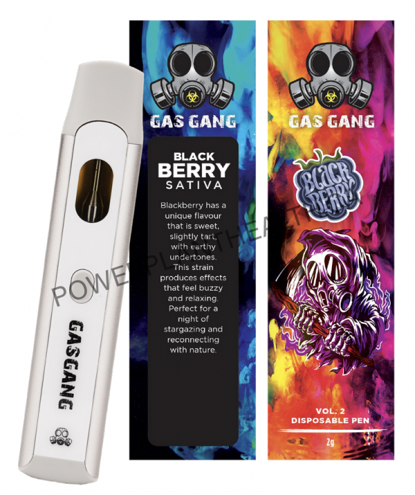 Gas Gang 2g Disposable Pen Black Berry Sativa - Power Plant Health