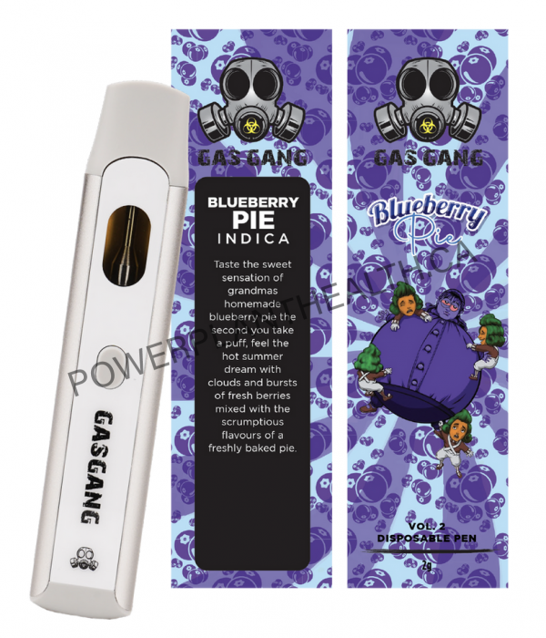 Gas Gang 2g Disposable Pen Blueberry Pie Indica - Power Plant Health