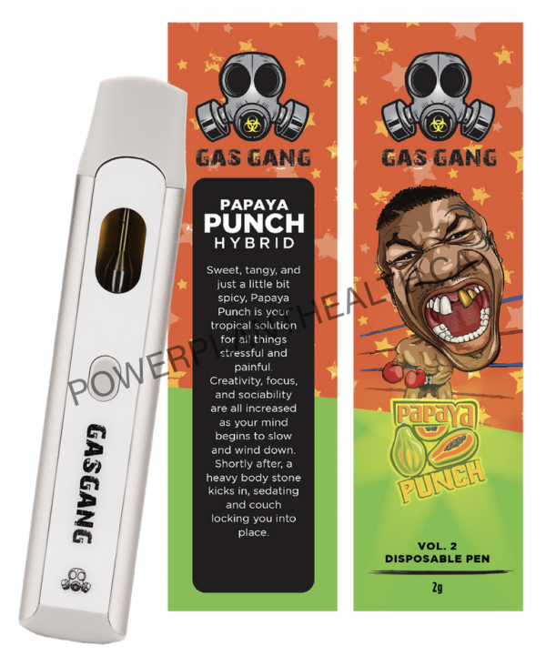 Gas Gang 2g Disposable Pen Papaya Punch Hybrid - Power Plant Health