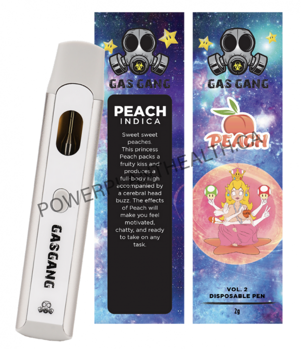 Gas Gang 2g Disposable Pen Peach Indica - Power Plant Health