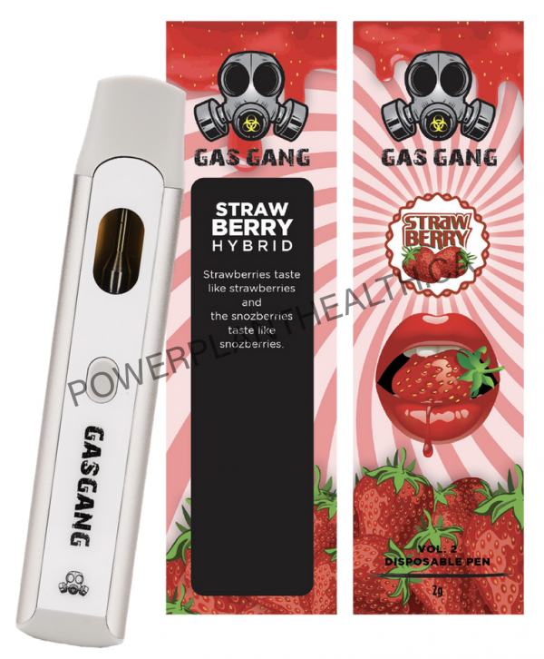Gas Gang 2g Disposable Pen Strawberry Hybrid - Power Plant Health