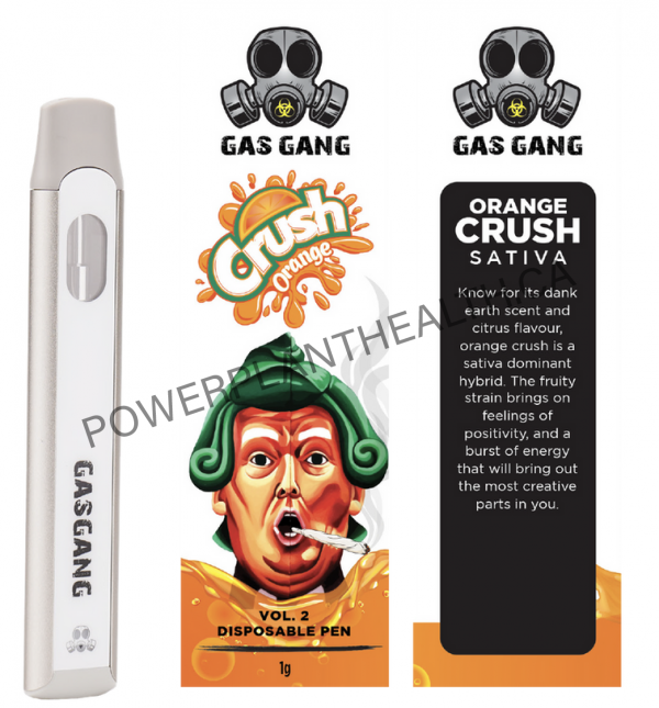 Gas Gang Disposable Pen Orange Crush Sativa - Power Plant Health
