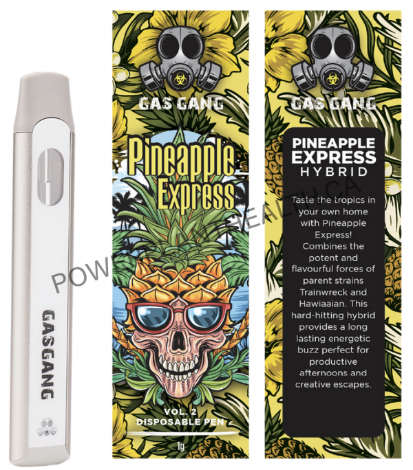Gas Gang Disposable Pen Pineapple Express Hybrid - Power Plant Health