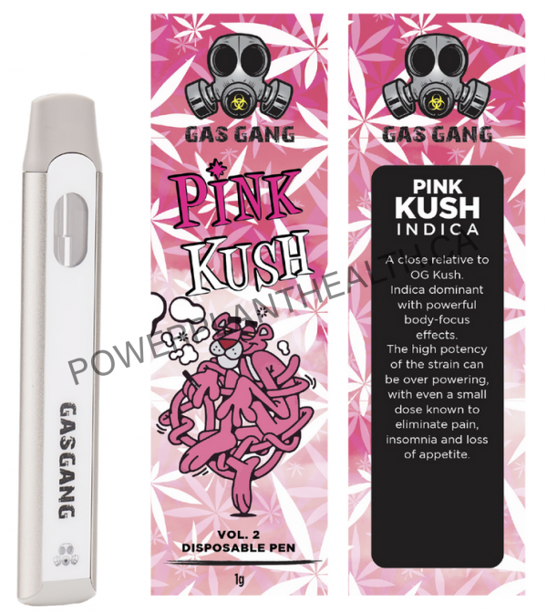 Gas Gang Disposable Pen Pink Kush Indica - Power Plant Health