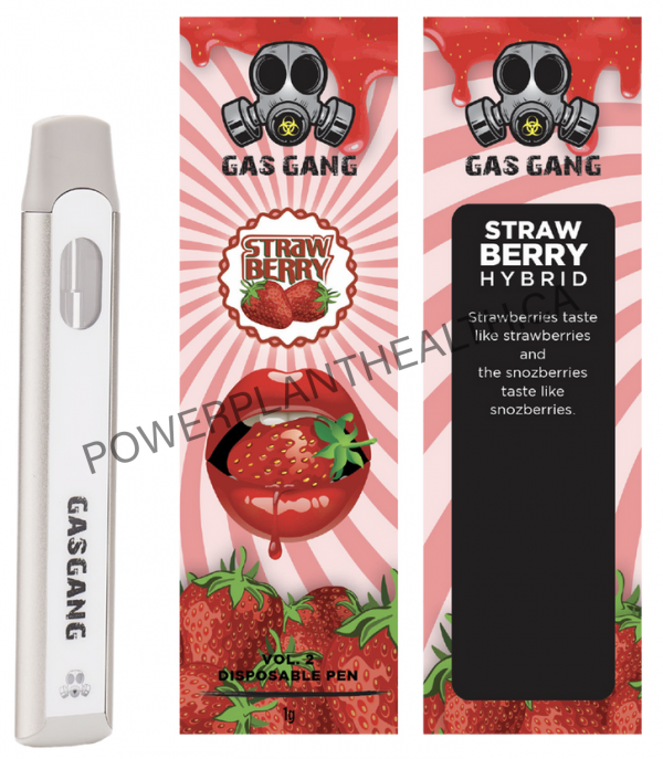 Gas Gang Disposable Pen Strawberry Hybrid - Power Plant Health