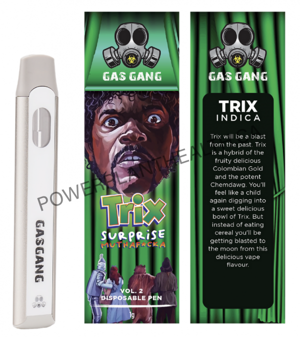 Gas Gang Disposable Pen Trix Indica - Power Plant Health