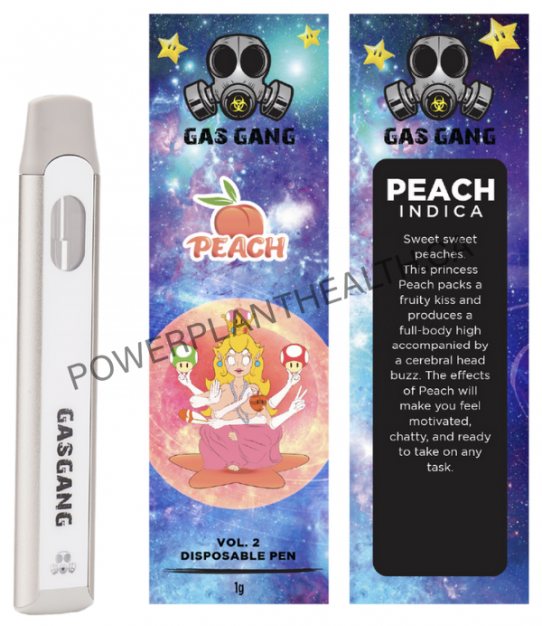 Gas Gang Disposable Pen Peach Indica - Power Plant Health