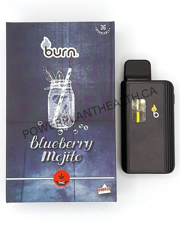 Burn. 3g Vape Blueberry Mojito Sativa - Power Plant Health