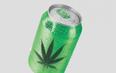 CBD-Infused Drinks: What Are They All About?