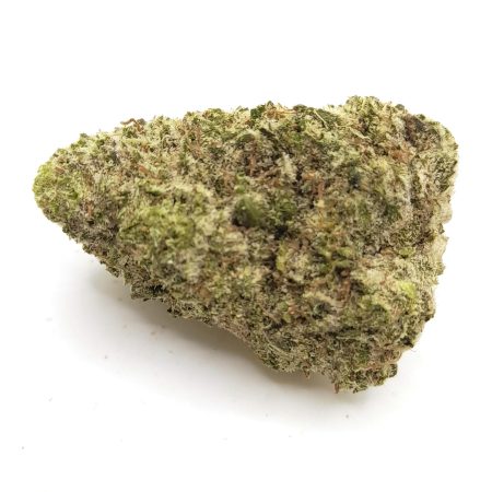 Confidential Cheese - Power Plant Health