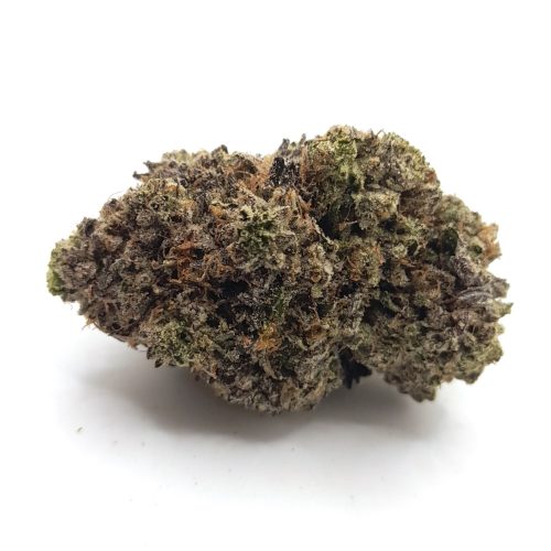 Pink Bubba 2 - Power Plant Health