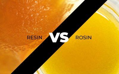 What is the difference between live resin & live rosin?