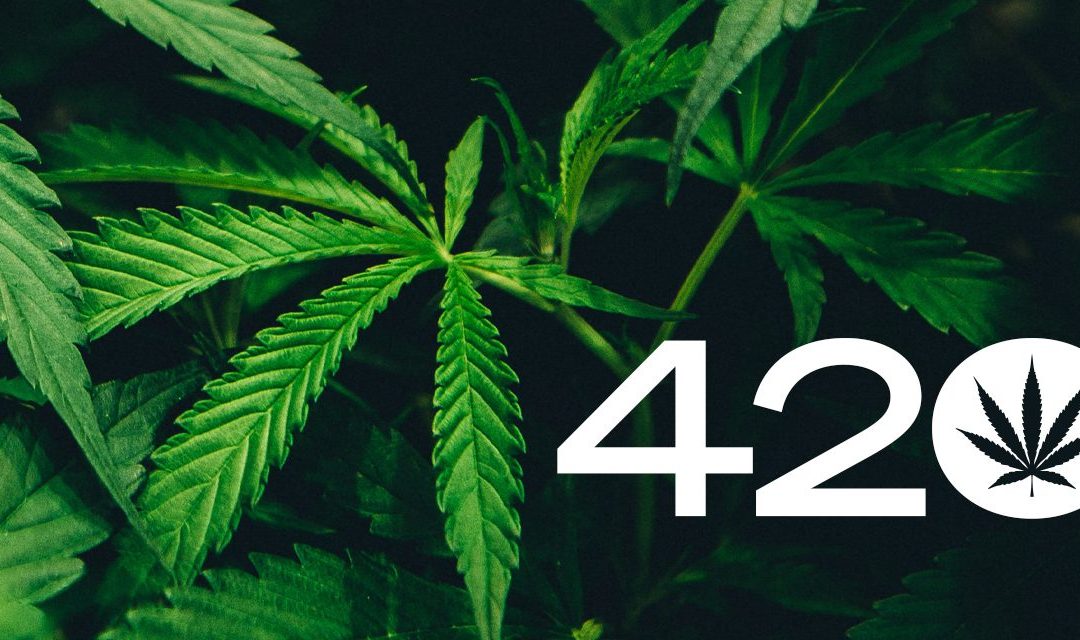 Celebrating 420 in Canada: A Comprehensive Guide