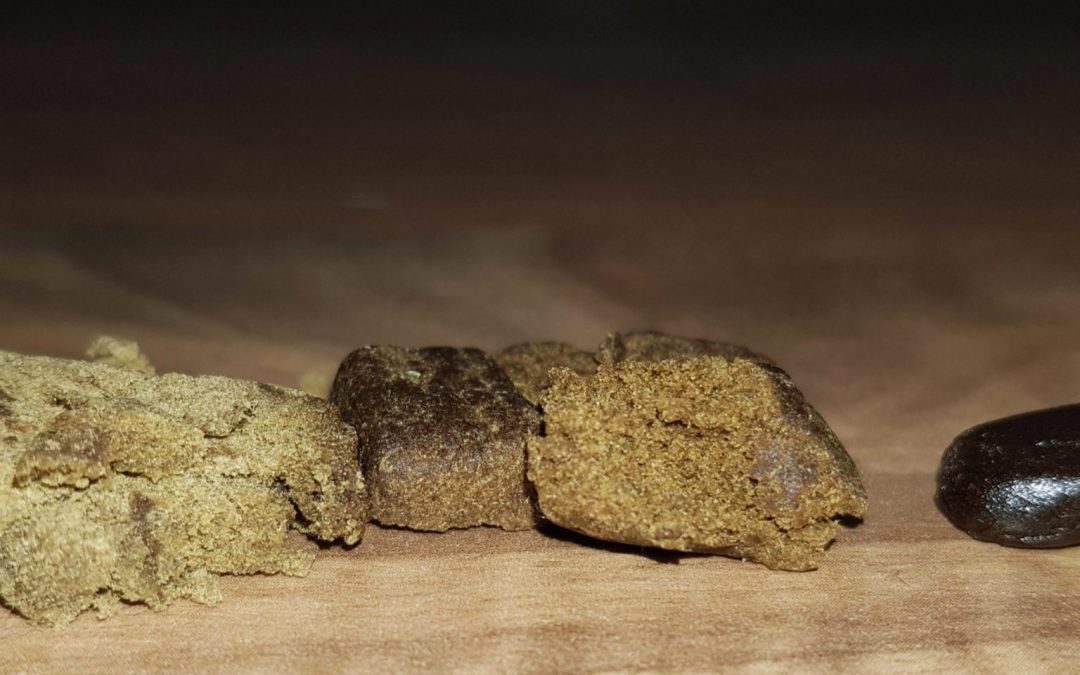 Different Types of Hashish: Exploring the World of Cannabis Concentrates