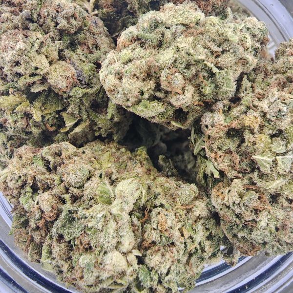 Strawberry Cough 2 - Power Plant Health