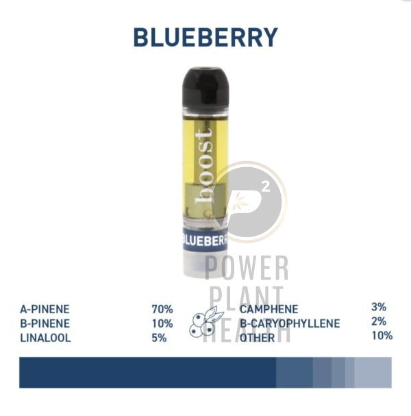 Boost Distillate Vape Cartridge Blueberry - Power Plant Health