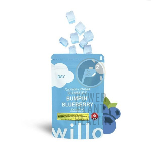 Willo THC Gummy Bumpin Blueberry Sativa - Power Plant Health